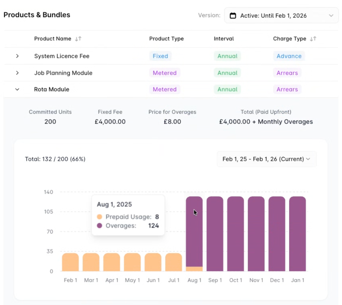 Snapshot of invoice showing breakdown of usage.